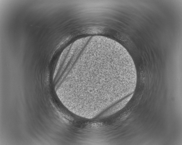 X0000060790304200512011713