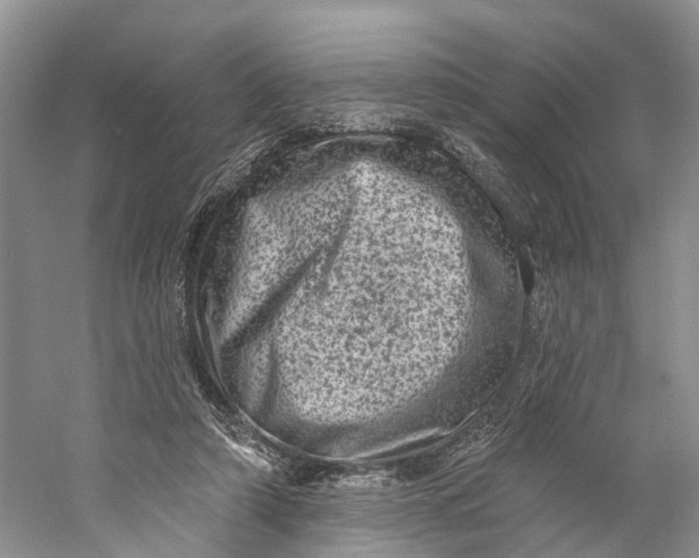 X0000060790306200512011713