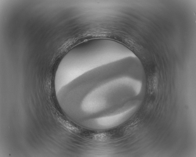 X0000060790309200512011713