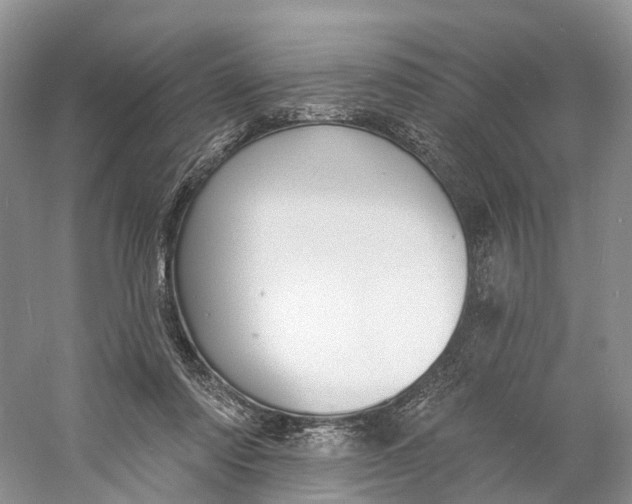 X0000060790310200512011713