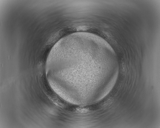 X0000060790311200512011713