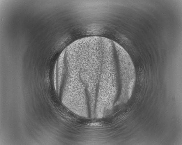 X0000060790312200512011713