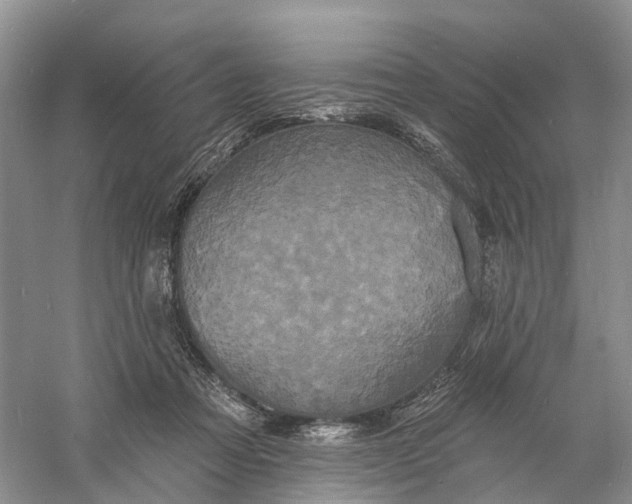 X0000060790313200512011713