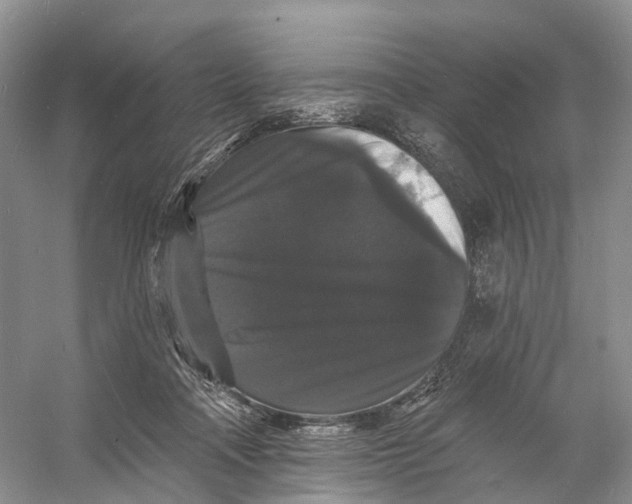 X0000060790314200512011713