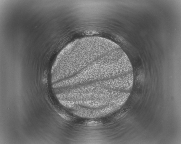 X0000060790315200512011713