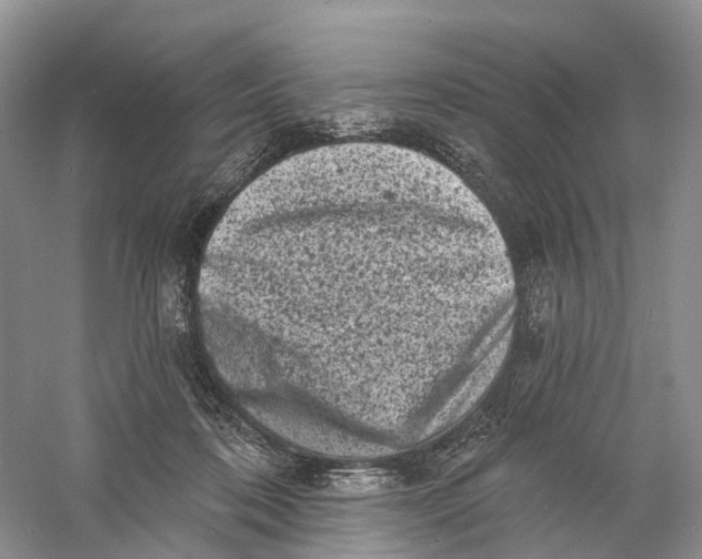 X0000060790316200512011713