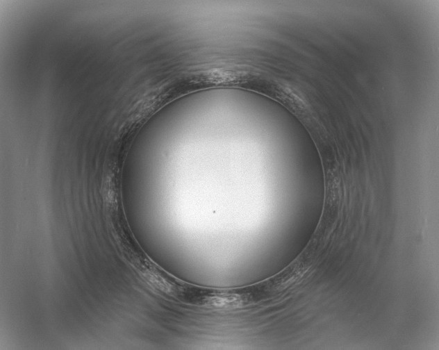 X0000060790317200512011713