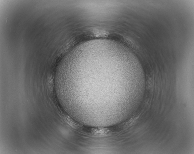 X0000060790321200512011713