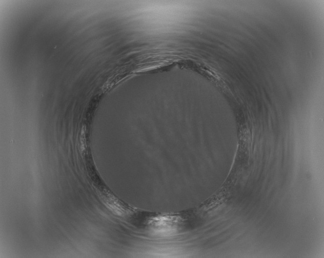 X0000060790323200512011713