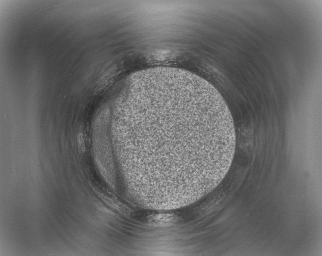 X0000060790324200512011713