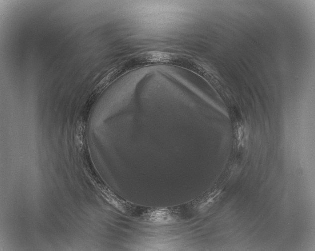 X0000060790325200512011713