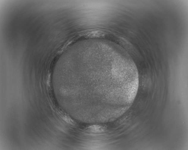 X0000060790326200512011713