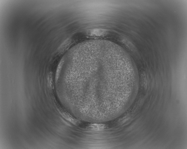 X0000060790328200512011713