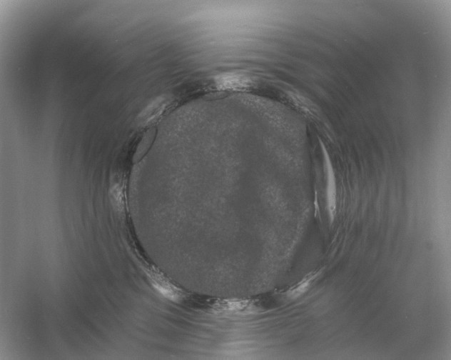 X0000060790329200512011713