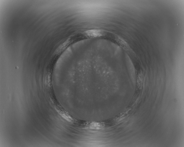 X0000060790330200512011713