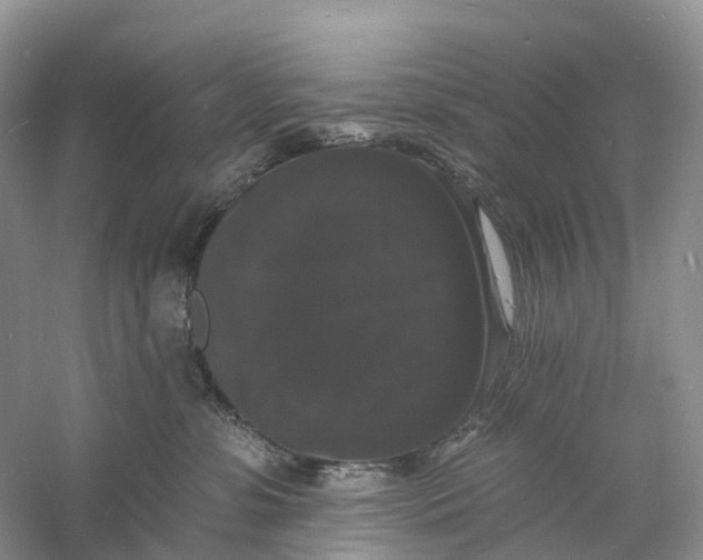 X0000060790331200512011713