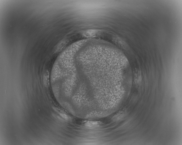 X0000060790332200512011713