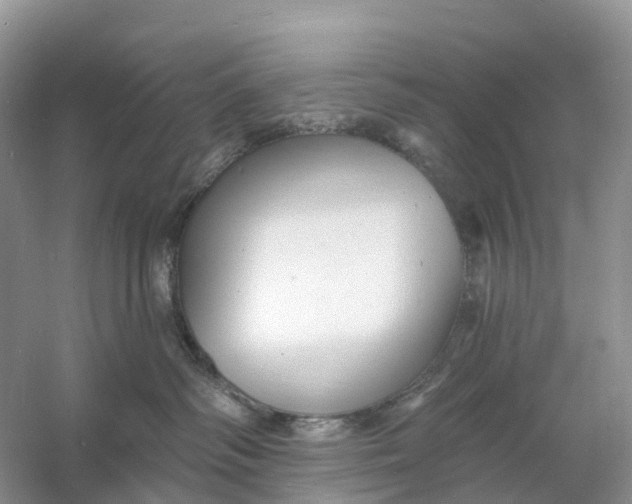 X0000060790334200512011712