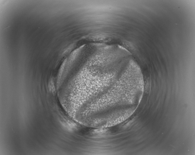 X0000060790335200512011712