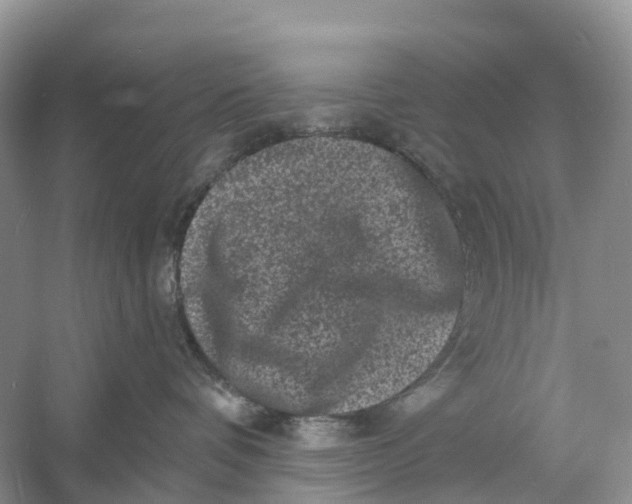 X0000060790336200512011712