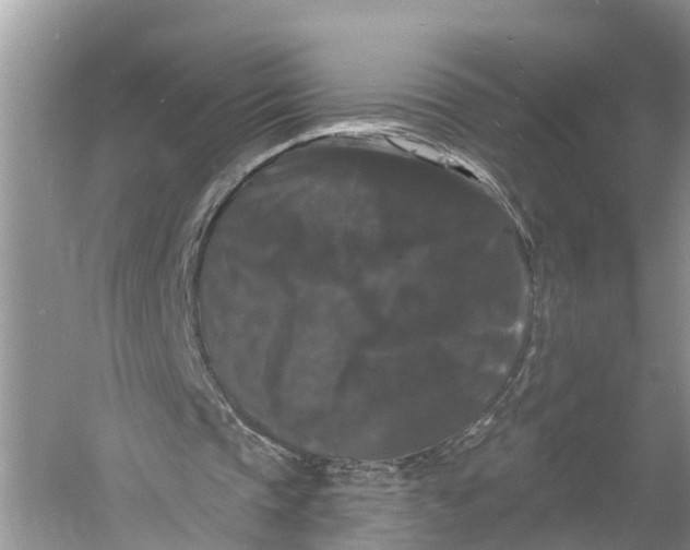 X0000060790337200512011712