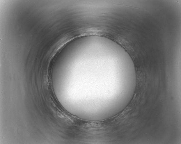 X0000060790338200512011712