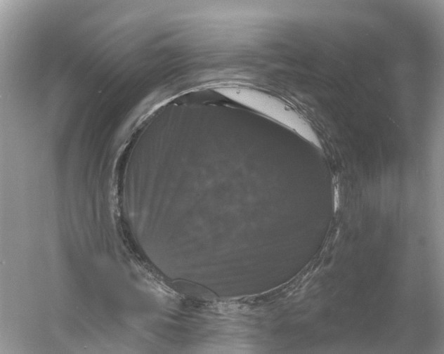 X0000060790339200512011712