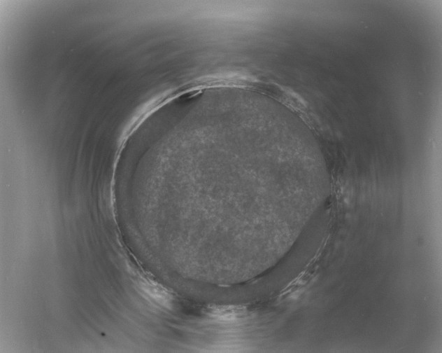 X0000060790340200512011712