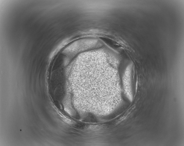 X0000060790341200512011712