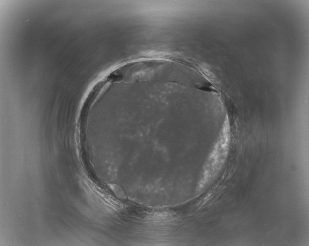 X0000060790342200512011712