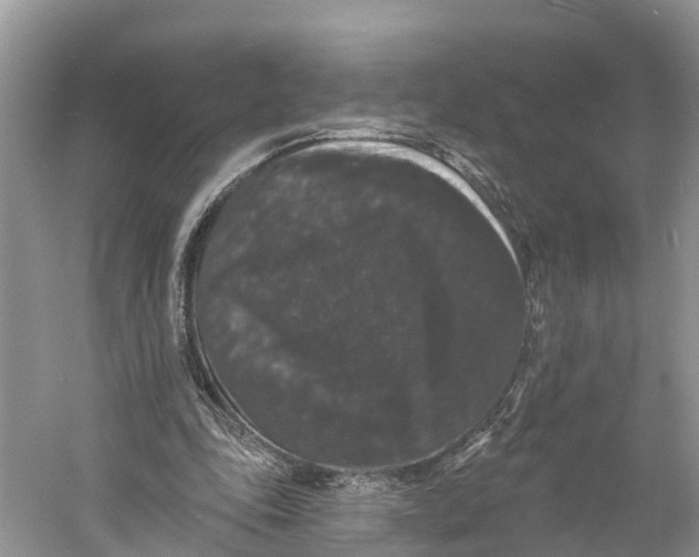 X0000060790343200512011712