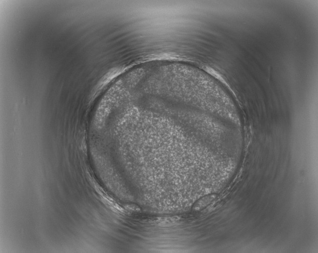 X0000060790345200512011712