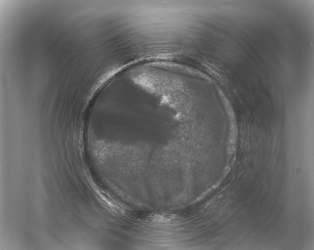 X0000060790346200512011712