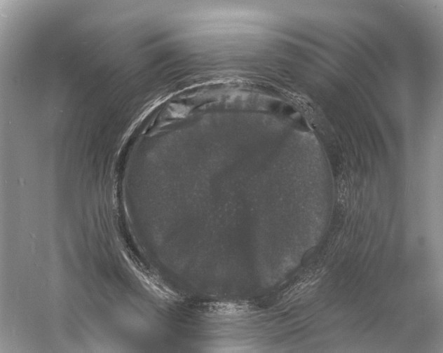 X0000060790347200512011712