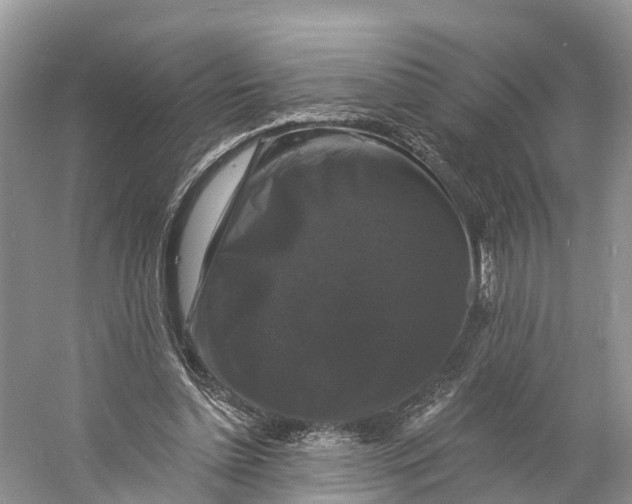 X0000060790348200512011712