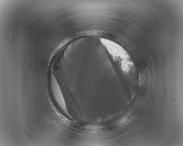 X0000060790349200512011712