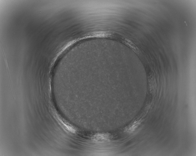 X0000060790350200512011712