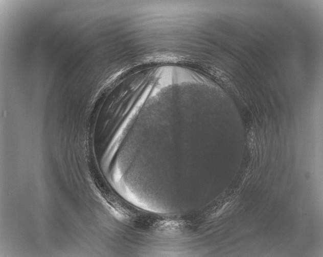 X0000060790352200512011712