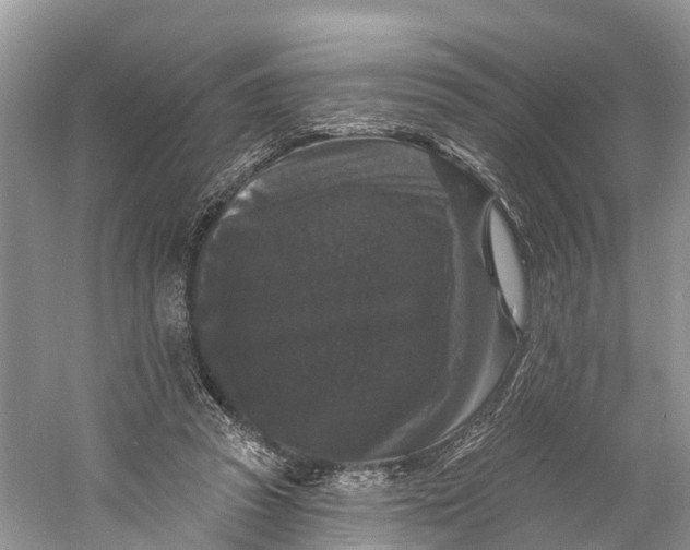 X0000060790353200512011712