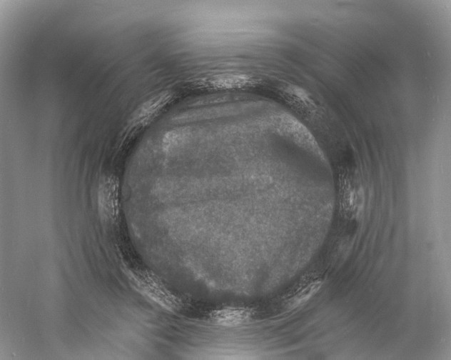 X0000060790356200512011712