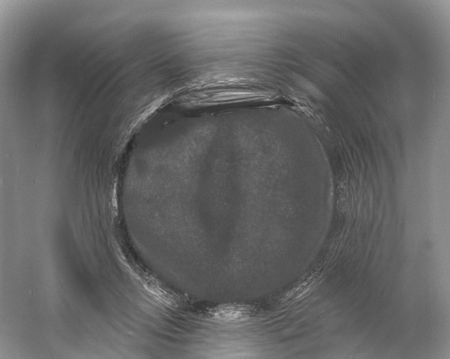 X0000060790358200512011712