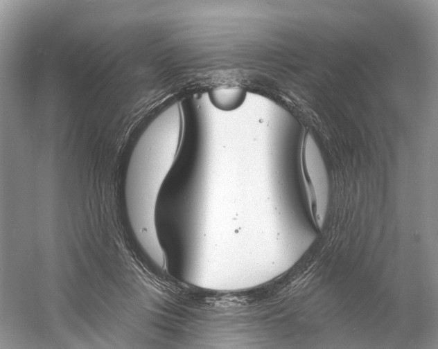 X0000060790359200512011712