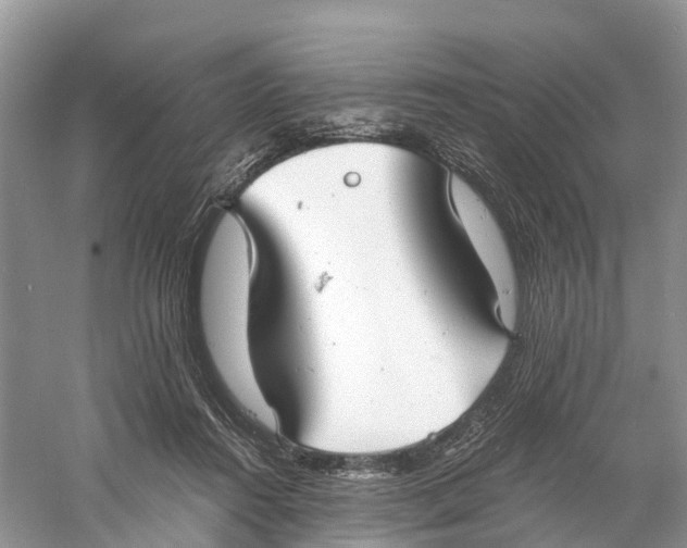 X0000060790360200512011712