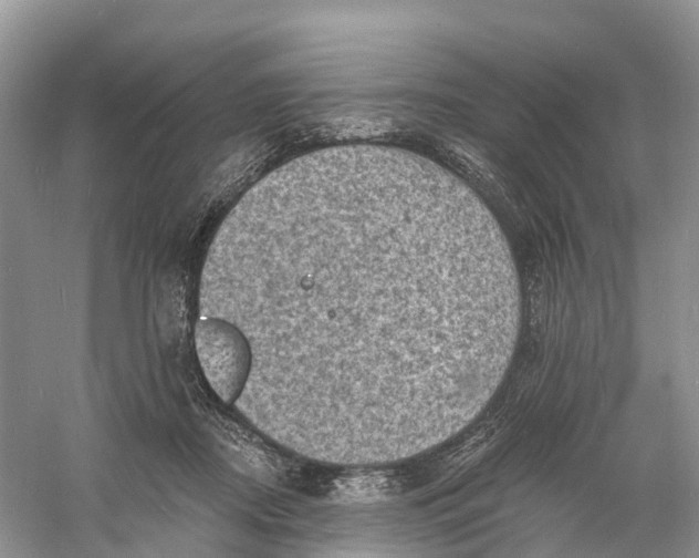 X0000060790362200512011712