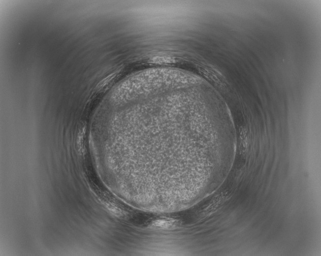 X0000060790364200512011712