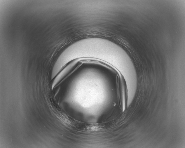 X0000060790365200512011712