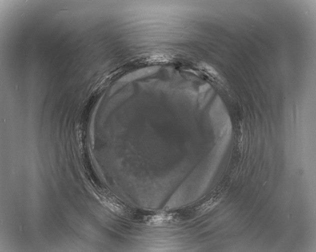 X0000060790366200512011712