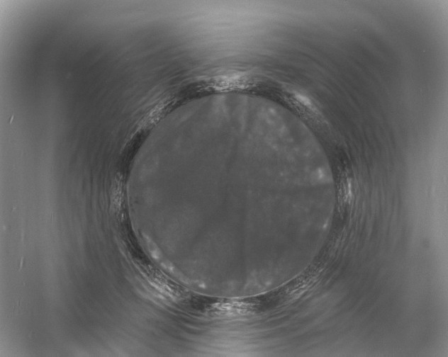 X0000060790367200512011712