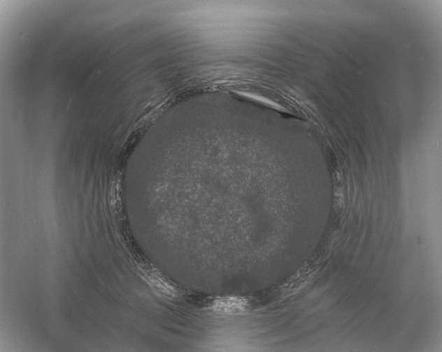 X0000060790369200512011712