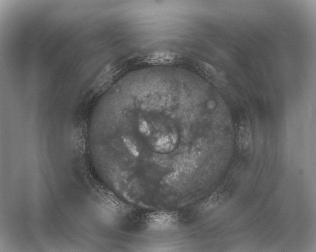 X0000060790370200512011712